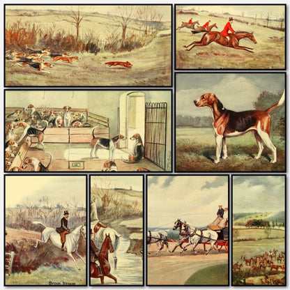 Good Sport seen with some Famous Packs 1910 Cuthbert Bradley | A snapshot of the images