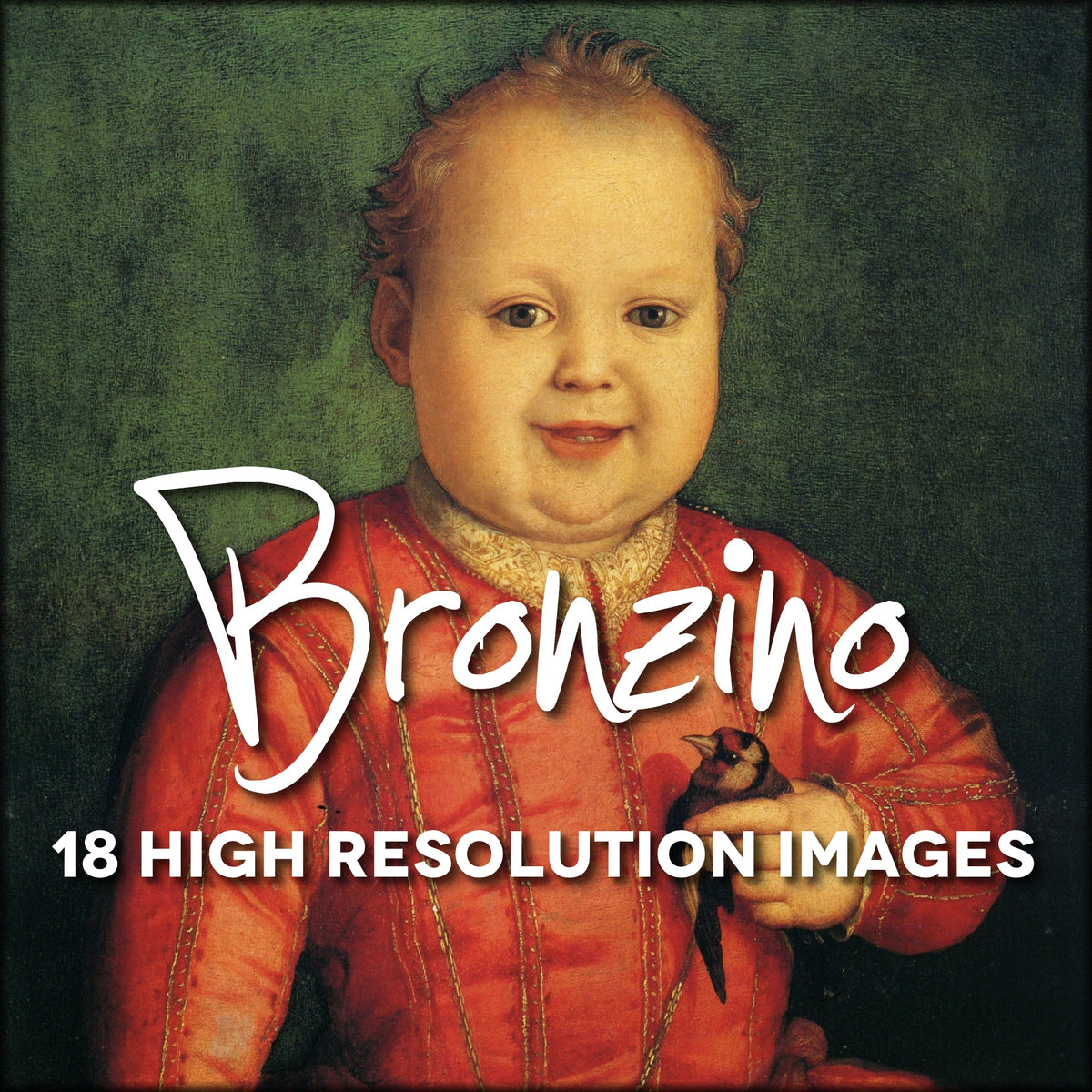 Bronzino Public Domain Images | Digital Download - 18 images
