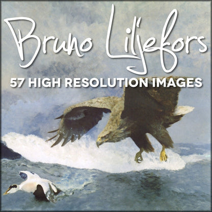 Bruno Liljefors Artwork in the Public Domain | Digital Download - 57 images