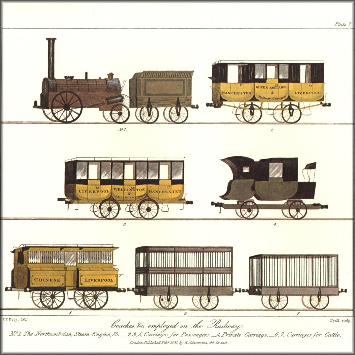 Digital Download - 1 image