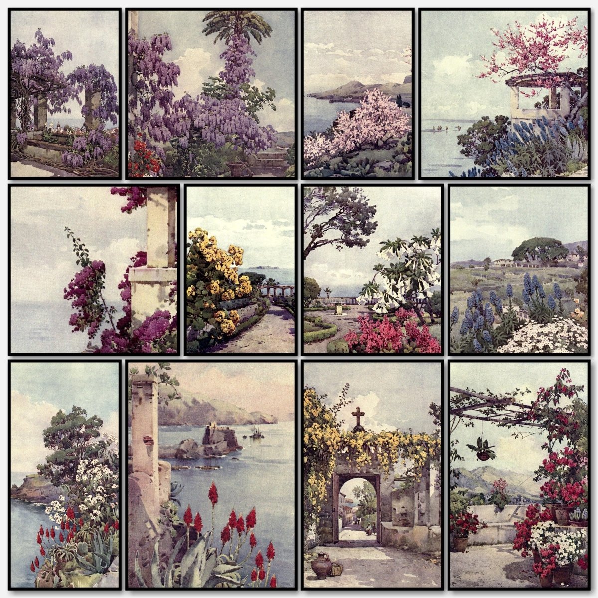 The Flowers & Gardens of Madeira 1909 - Ella Du Cane | A snapshot of some of the images