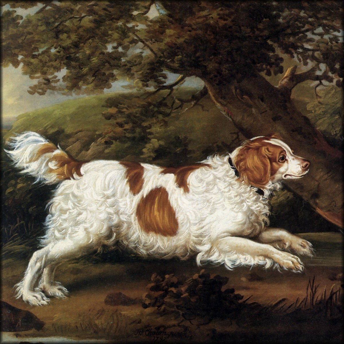 Henry Bernard Chalon - Quaile, An English Water Spaniel 1797 | Digital Download - 1 image