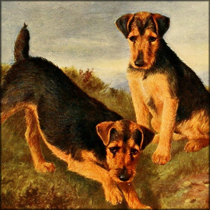 The New Book of the Dog 1911 - Maud Earl, Lilian Cheviot | Digital Download - 21 images