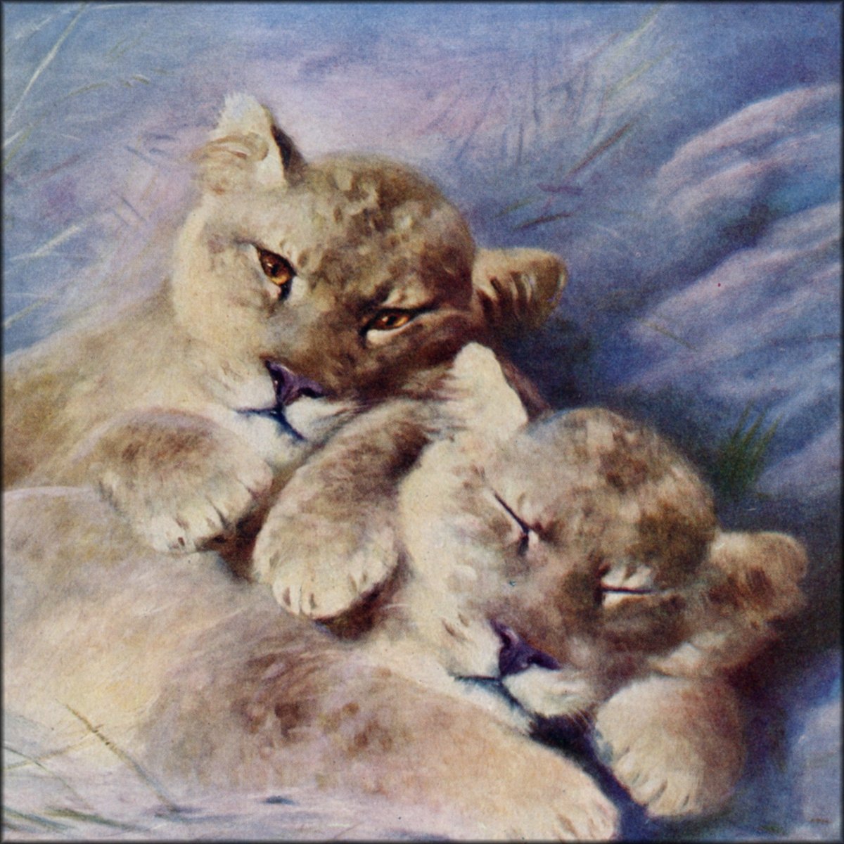 Lilian Cheviot (1876-1934) - Lion Cubs | Digital Download - 1 image