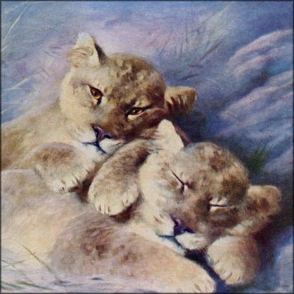 Lilian Cheviot (1876-1934) - Lion Cubs | Digital Download - 1 image