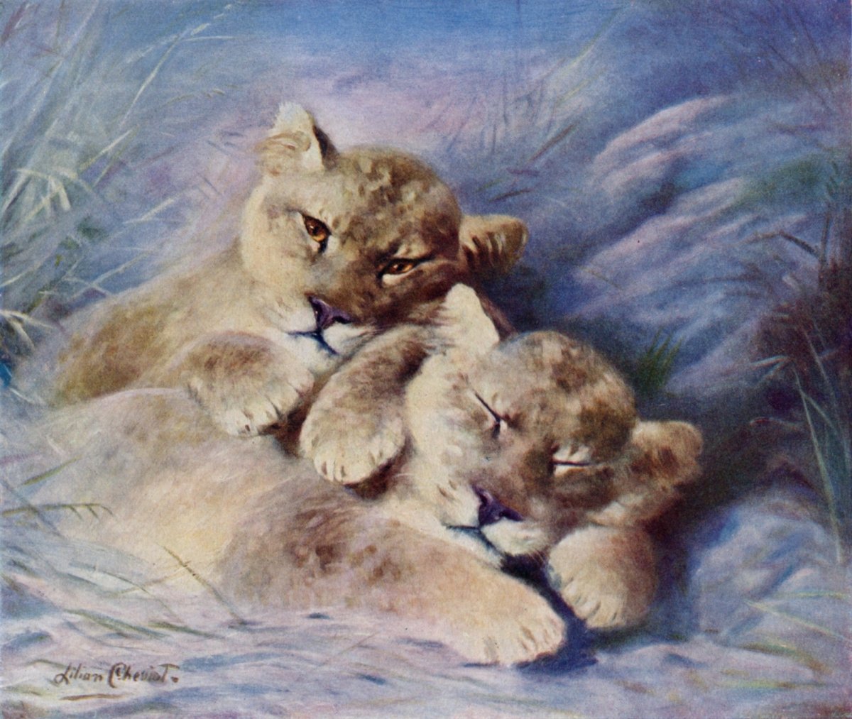 Lilian Cheviot (1876-1934) - Lion Cubs | Dimensions 4305 x 3635 pixels