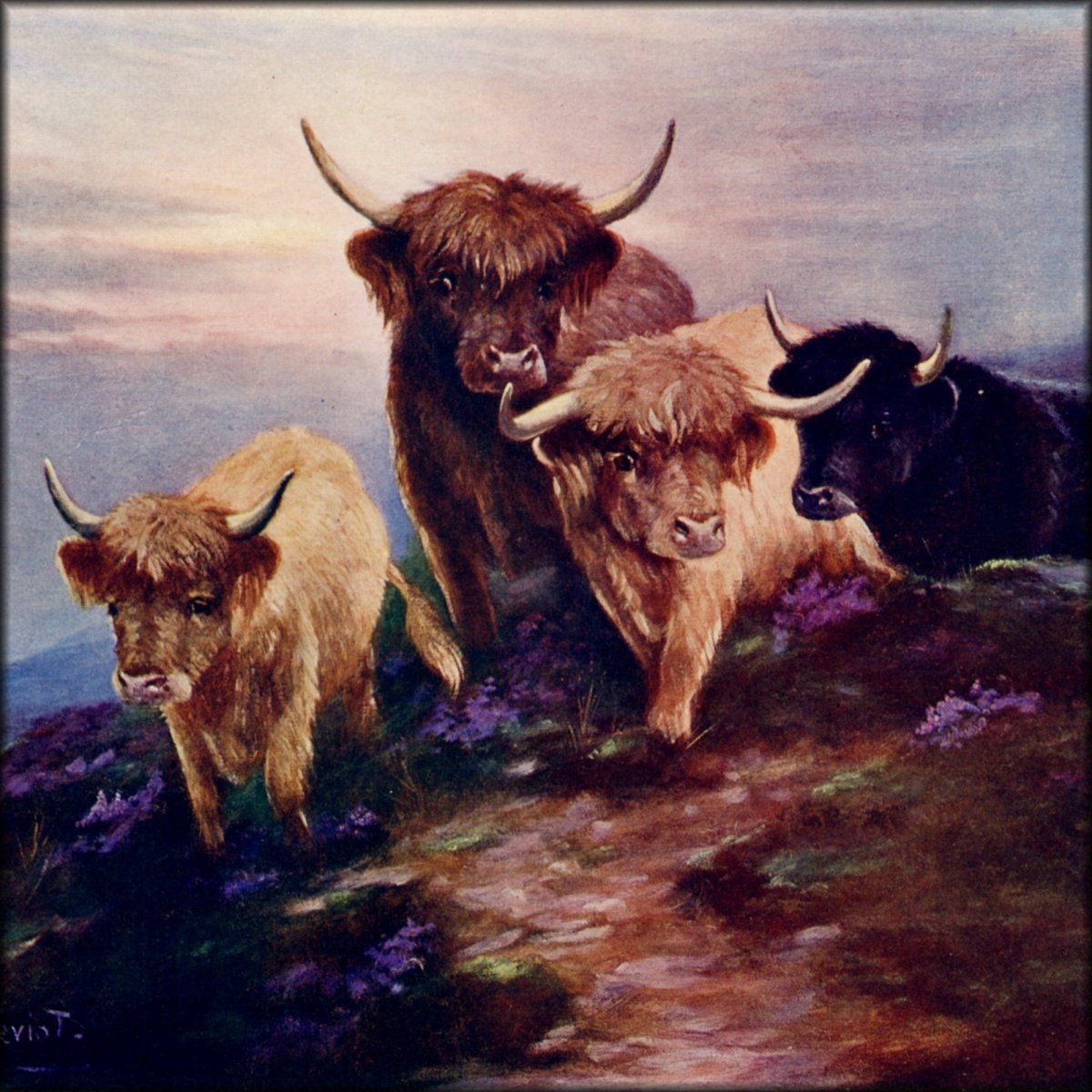 Digital Download - 1 image