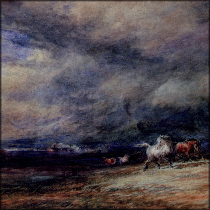 Digital Download - 1 image