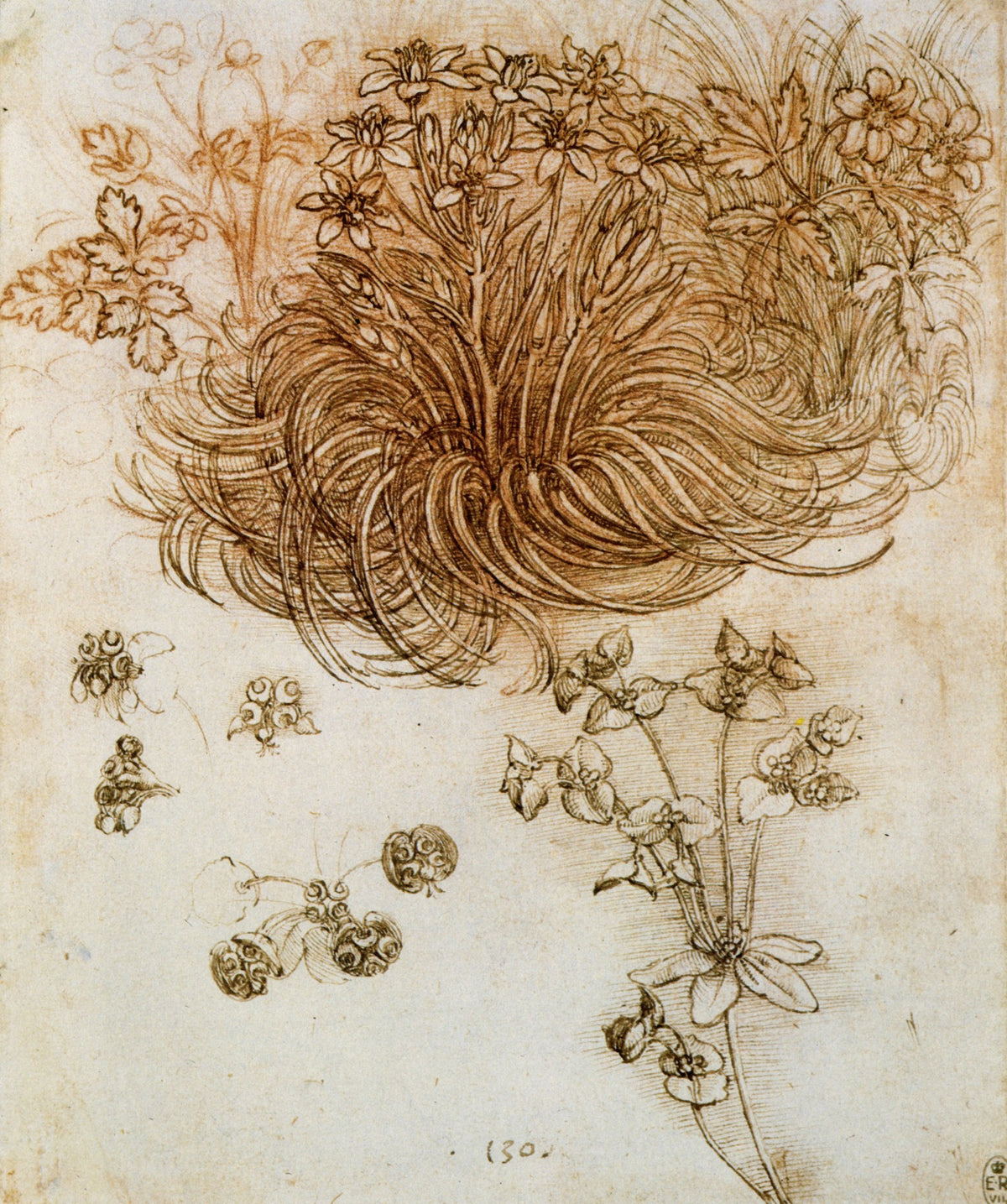 Leonardo da Vinci 36 Public Domain Images including Mona Lisa | Dimensions 4356 x 5211 pixels