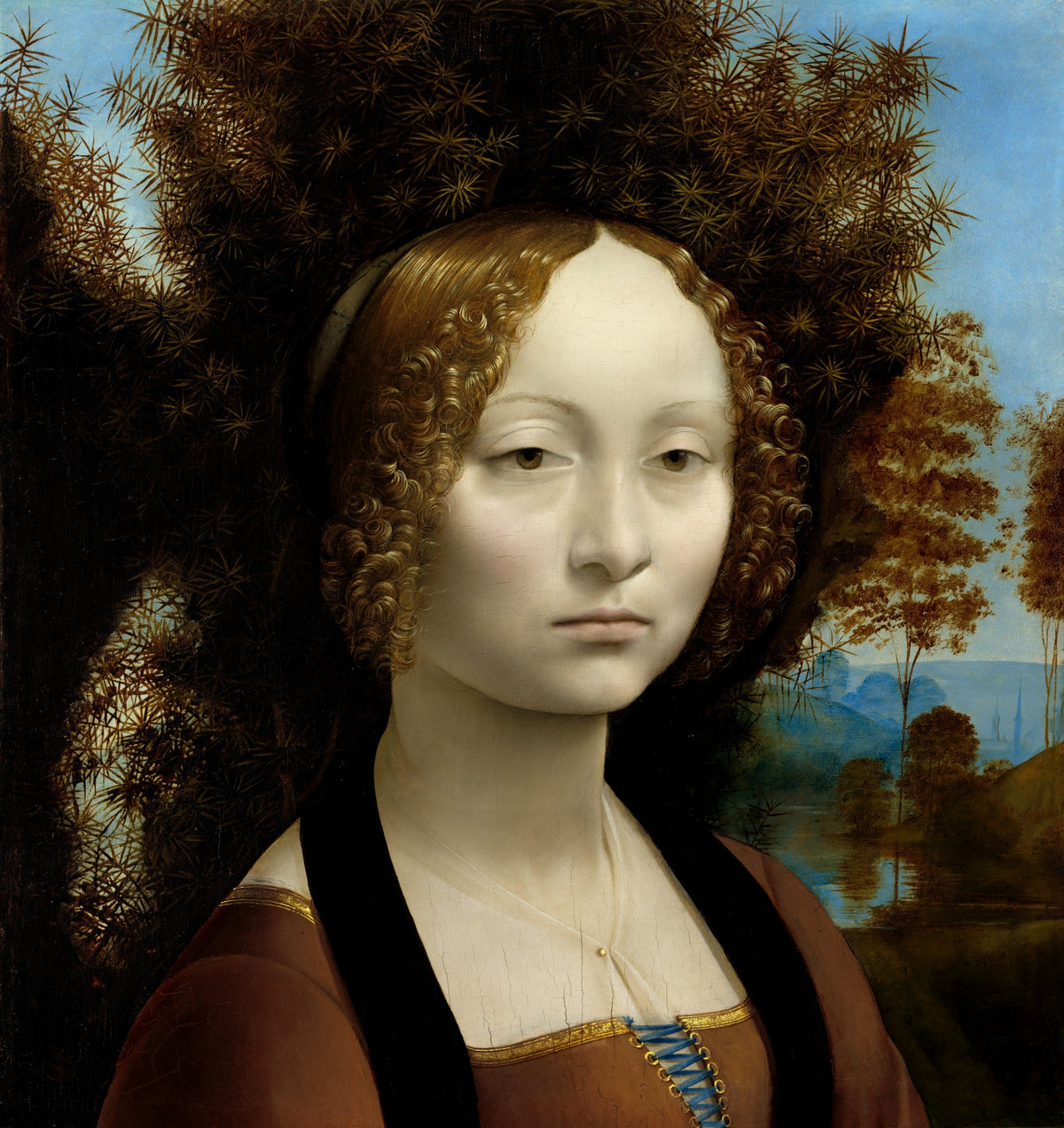 Leonardo da Vinci 36 Public Domain Images including Mona Lisa | Dimensions 10483 x 11110 pixels