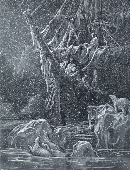 Dimensions 5454 x 7164 pixels