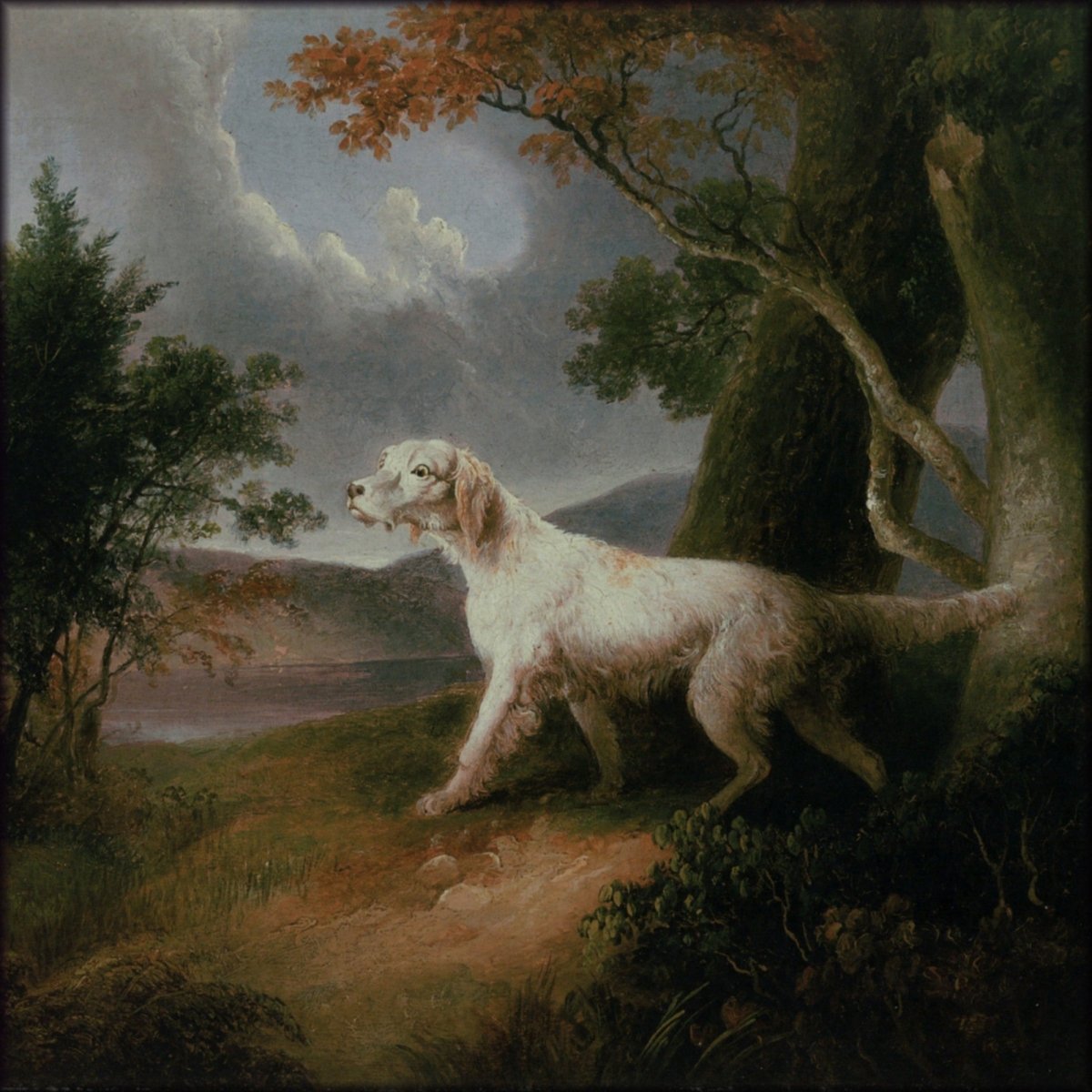 Digital Download - 1 image