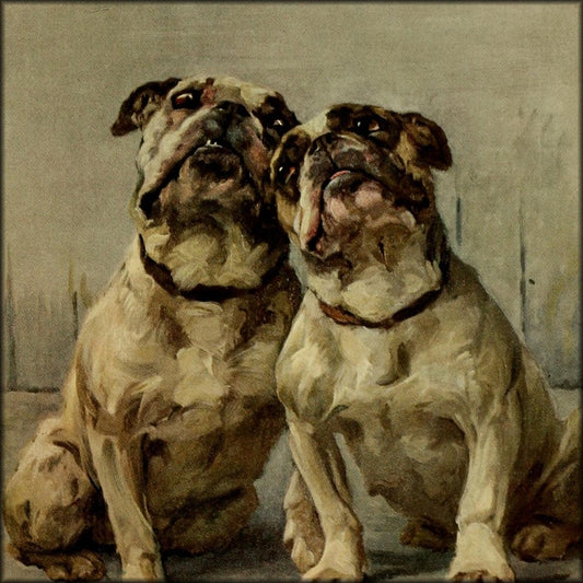 The Power of the Dog 1910 - Maud Earl - 20 images | Digital Download - 1 image
