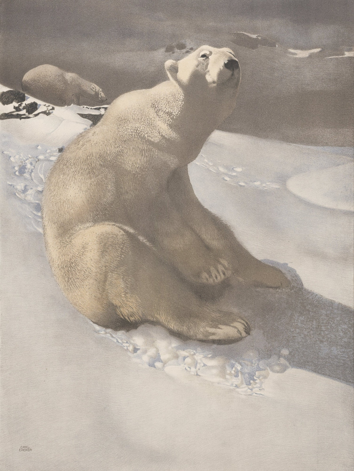 Animals in the Snow - 101 High Resolution Images | Dimensions 3318 x 4410 pixels