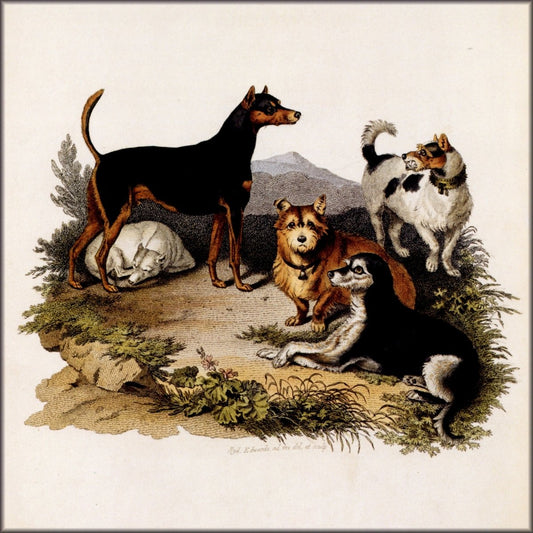 Digital Download - 1 image