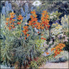 Some English Gardens 1904 - George S. Elgood (1851-1943) - 50 images