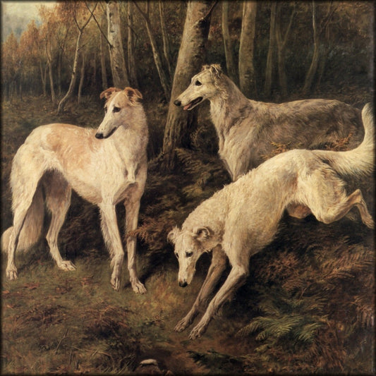 Digital Download - 1 image