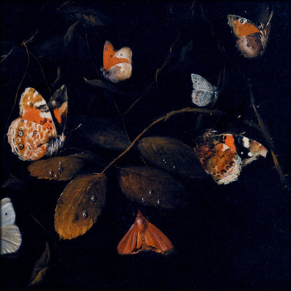 Digital Download - 1 image