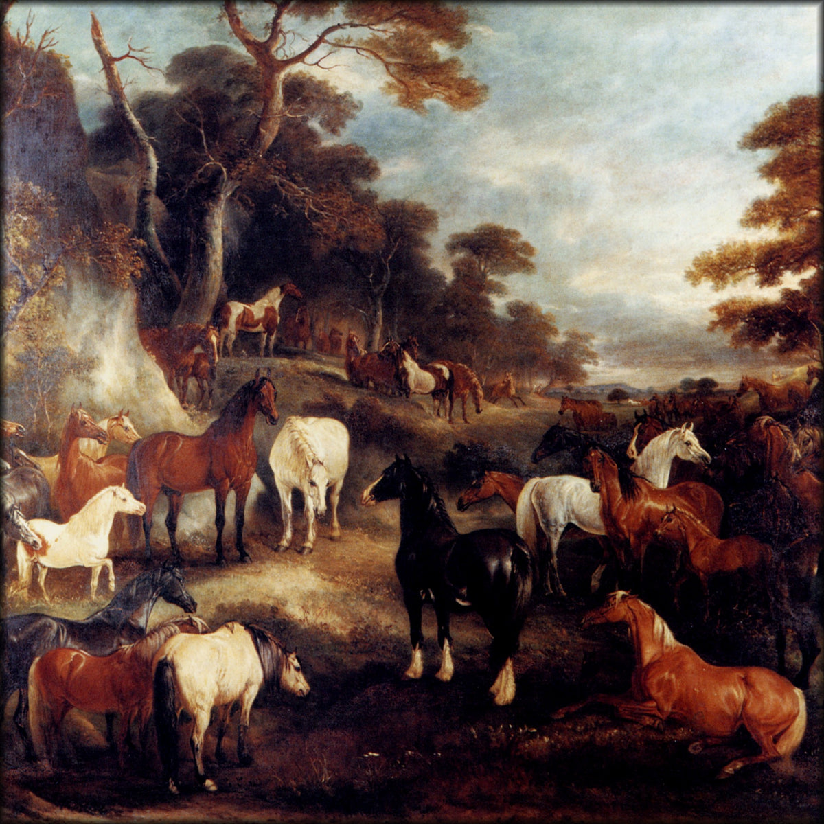 Digital Download - 1 image