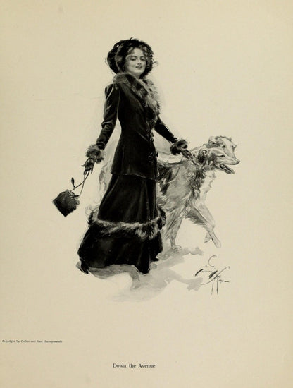 Fair Americans 1911 - Harrison Fisher - 65 images | Dimensions 2715 x 3594 pixels