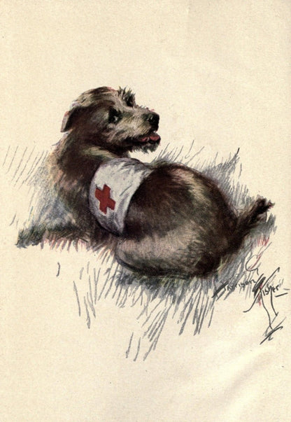 The War Dog 1918 - Harrison Fisher - 1 image | Dimensions 1820 x 2638 pixels