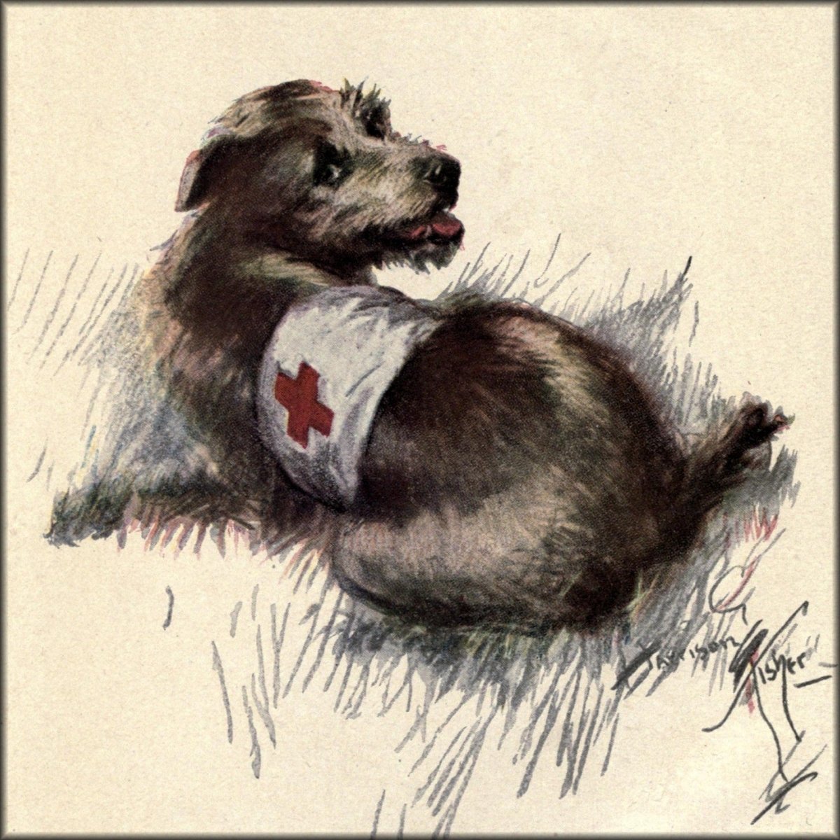The War Dog 1918 - Harrison Fisher - 1 image | Digital Download - 1 image