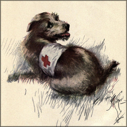 The War Dog 1918 - Harrison Fisher - 1 image | Digital Download - 1 image