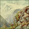 Alpine Flowers & Gardens 1910 - George Flemwell (1865-1928) - 20 images