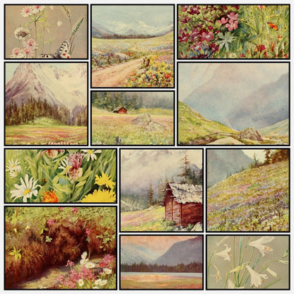 The Flower-fields of Alpine Switzerland 1911 - Flemwell | A snapshot of some of the images