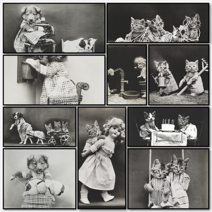 Harry Frees' Cat Photographs to Download | A snapshot of some of the images