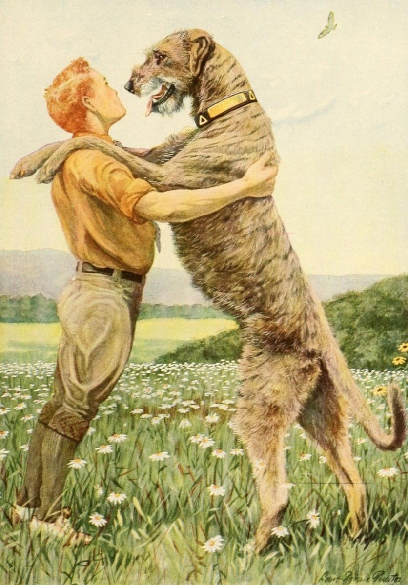The Book of Dogs, 1919 - Louis A. Fuertes - 45 images | Dimensions 1624 x 2332 pixels
