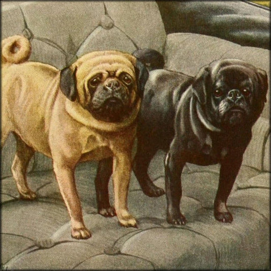 The Book of Dogs, 1919 - Louis A. Fuertes - 45 images | Digital Download - 45 images
