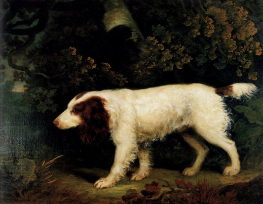 Dimensions 4886 x 3787 pixels