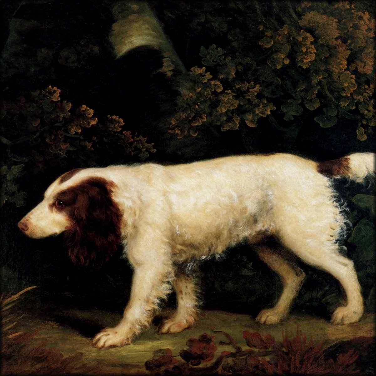 Digital Download - 1 image