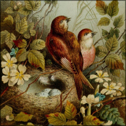 Birds & Flowers 1873 - Hector Giacomelli - 1 image | Digital Download - 1 image