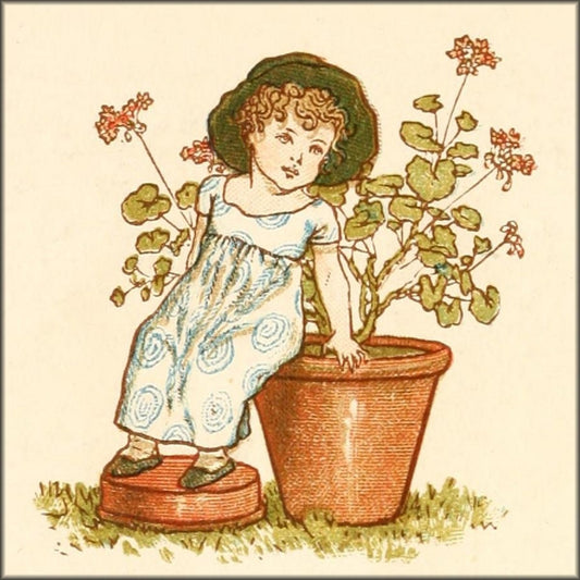 The Language of Flowers, 1884 - Kate Greenaway - 54 images | Digital Download - 54 images