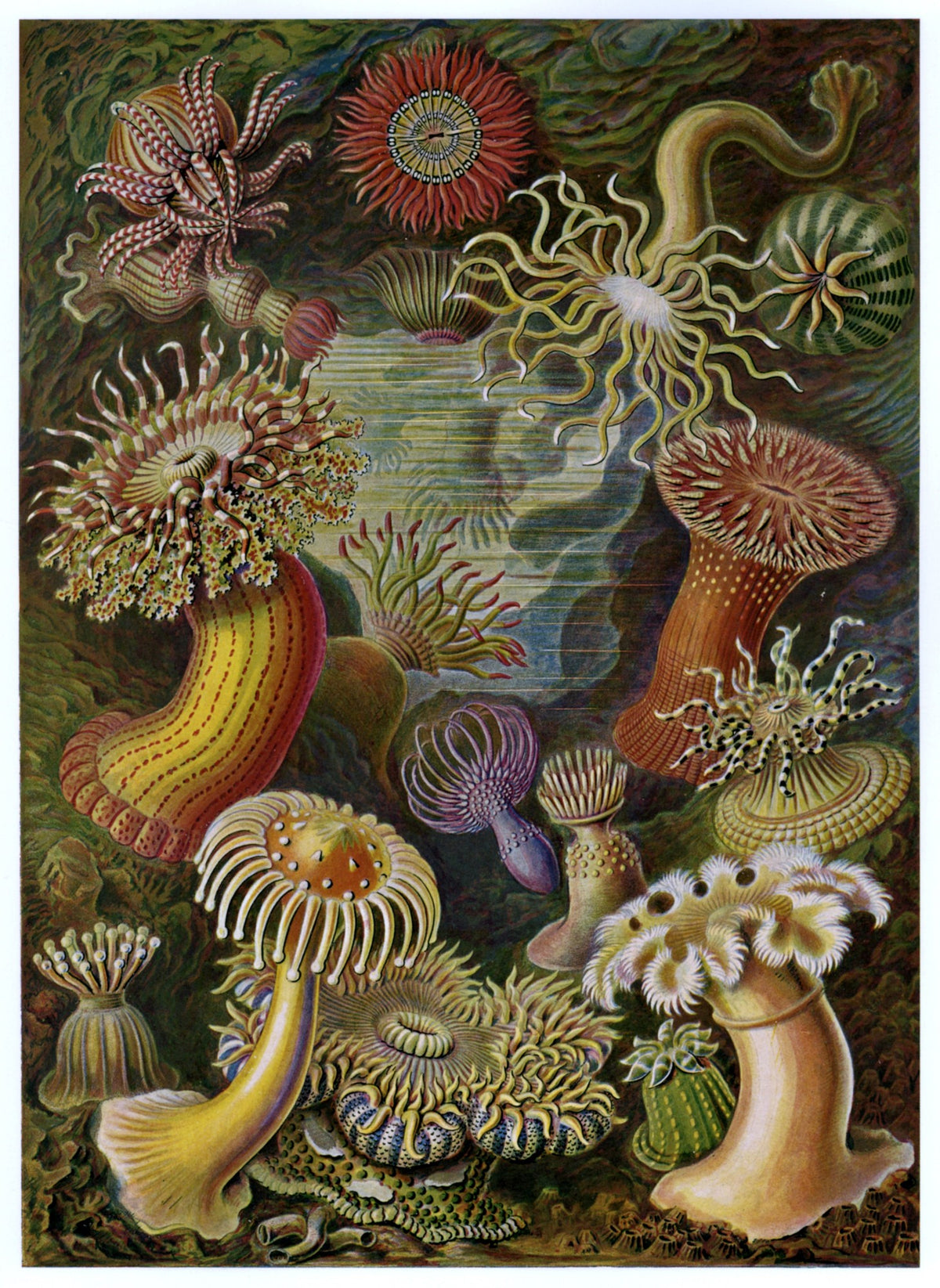 Dimensions 4670 x 6400 pixels