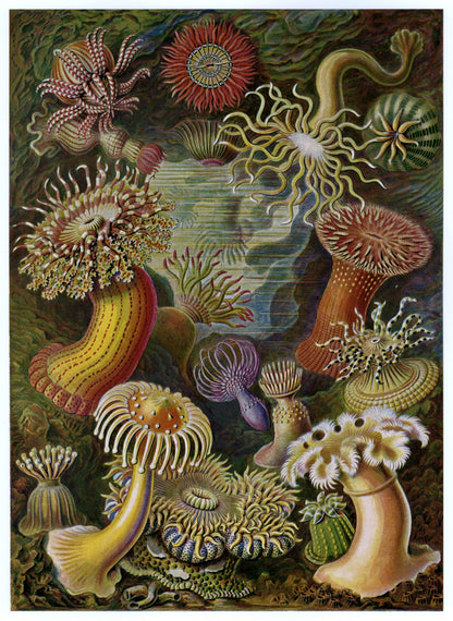Dimensions 4670 x 6400 pixels