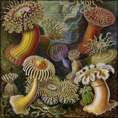 Digital Download - 1 image