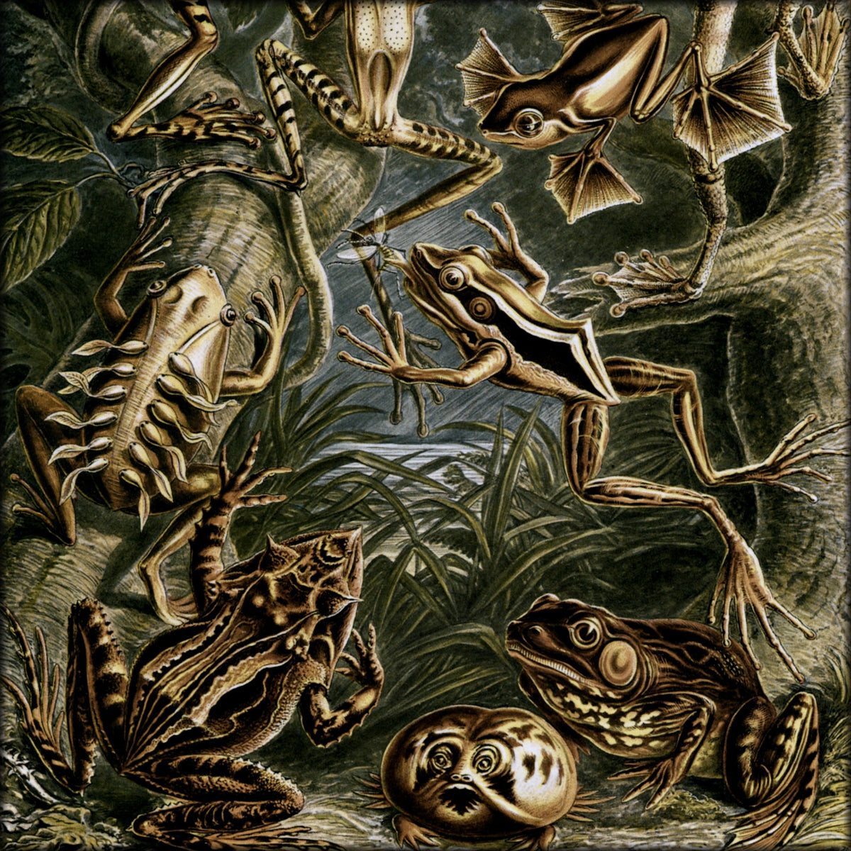 Digital Download - 1 image