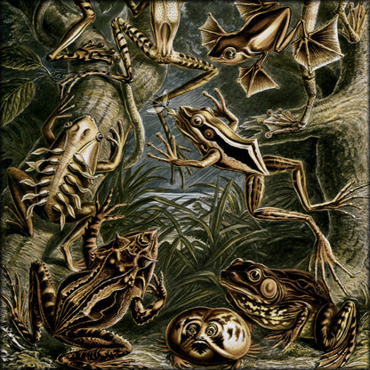 Digital Download - 1 image