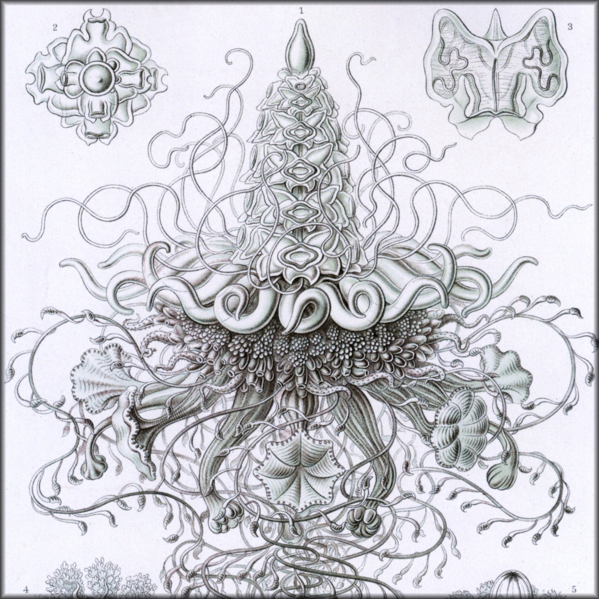 Digital Download - 1 image