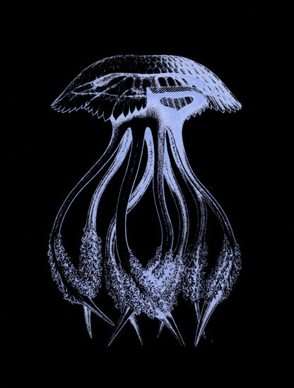 Dimensions 5340 x 7044 pixels