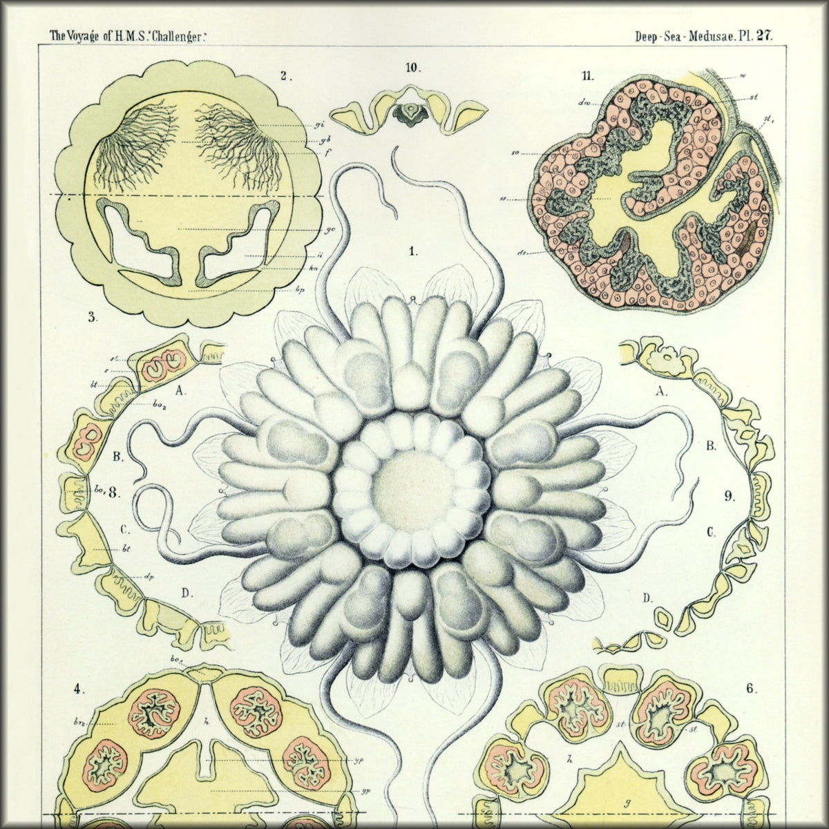 Digital Download - 1 image