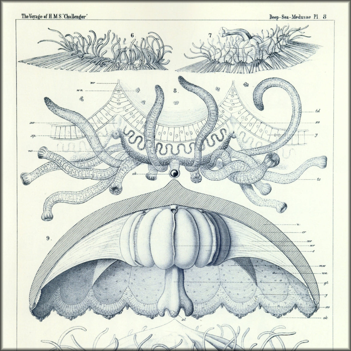 Digital Download - 1 image