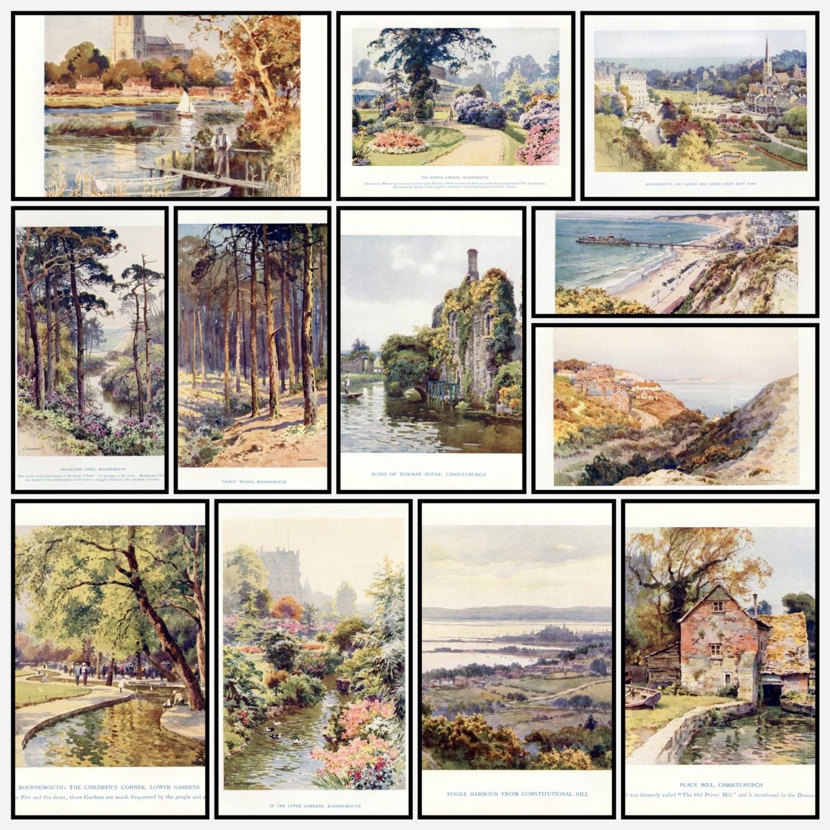 A snapshot of the images