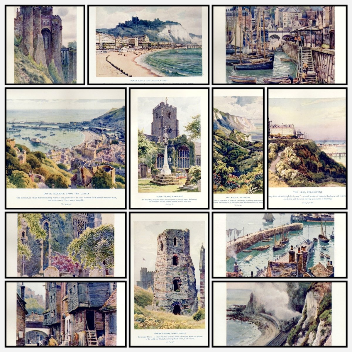 A snapshot of the images
