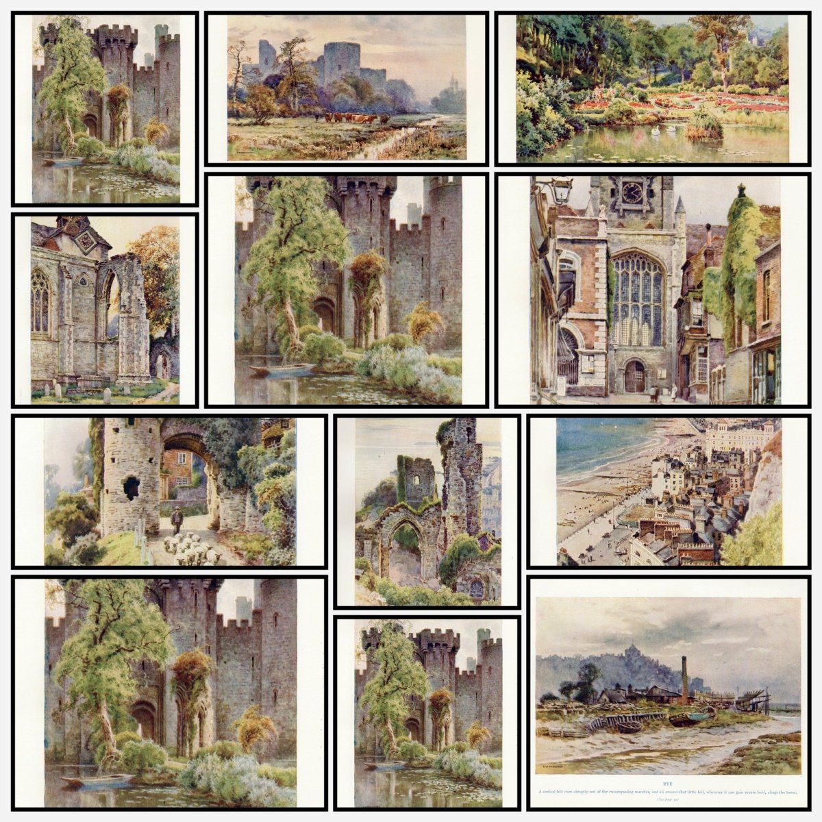 A snapshot of the images