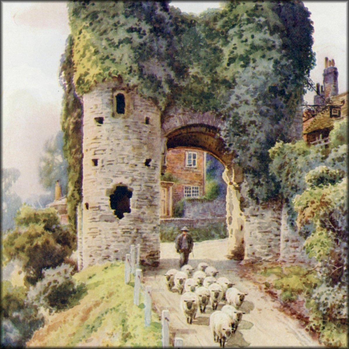 Digital Download - 12 images