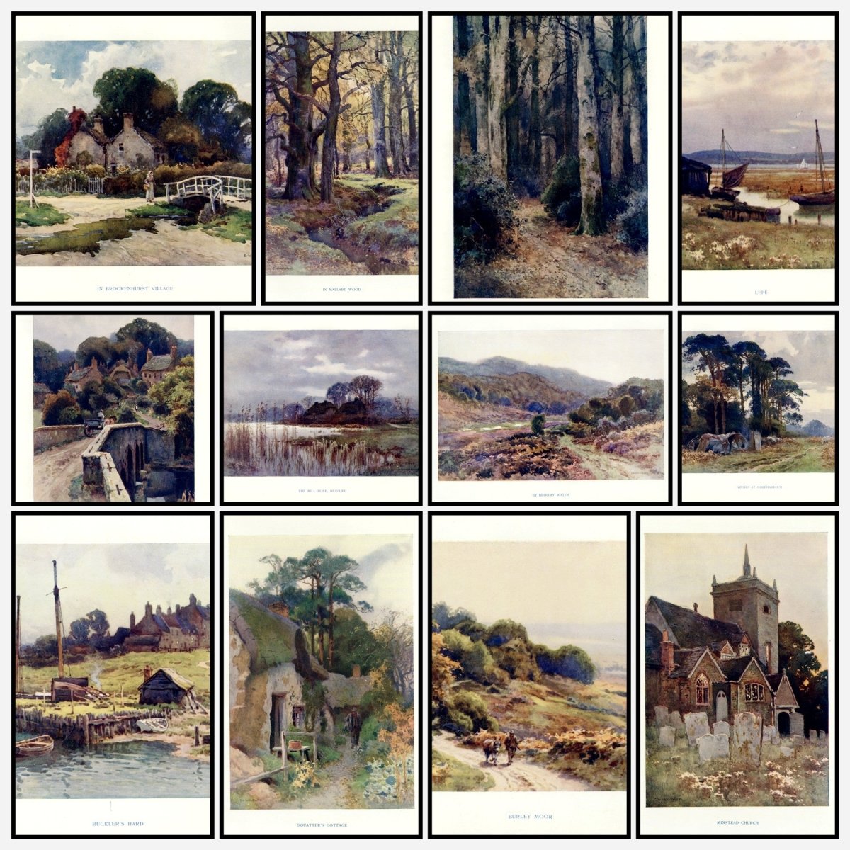 A snapshot of the images